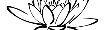 Lotus Doc